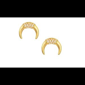 Trendy Horn earrings